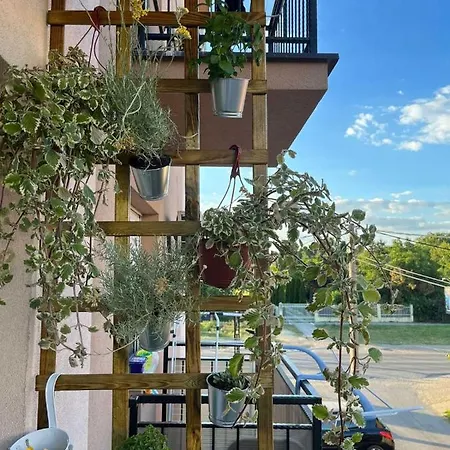 Ika Belgrade Airport Free Parking Possible Self Check-in Terrace *